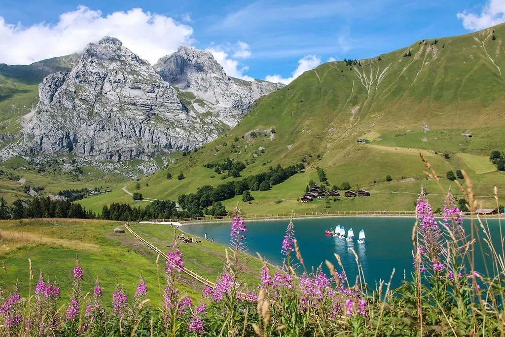 Studio Danay Le Grand-Bornand 0*,